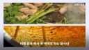 점점 외국인들에게 메이저로 다가오는 한국음식.jpg