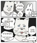 전국의 동생 있는 언니누나오빠형님들, 이게 진짜입니까?