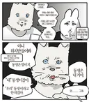 전국의 동생 있는 언니누나오빠형님들 이게 진짜입니까