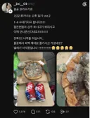 올공 폭도 근황 ㄷㄷ (혐오주의)