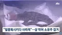 하수구 에서 발견된 악어 주인 검거