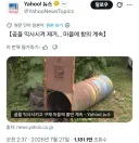 곰 익사 시켰다고 난리난 일본