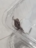 식구가 또 하나 늘었다요 ㅠㅠ ㄷㄷㄷㄷㄷ