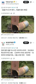 곰 익사시켰다고 난리난 일본news
