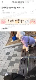 산책 나왔다가 강아지랑 싸움.JPG
