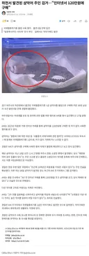 하천서 발견된 샴악어 주인 검거