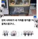 나도 드디어 증식 루리 떴다