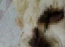 약혐) 빵에서 이물질 나와서 징역 + 10억대소송 당한사람