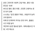 英 치매 초기 운전자 “위험하다면 그만둘 것...재평가 후 결정 원해”