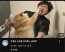 시바견 목욕 유투브 대참사