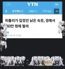 비문증인가 했더니 사이버초파리였네