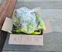 현재 강원도 상황이라는데 진짜야? 🌽