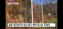 일본이 곰 문제로 골머리 터지는 이유