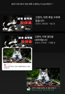 새덕후 영상 제목 수정 전후