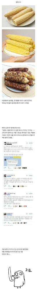 현재 강원도 사는 사람들한테 쏟아져 들어오는 거.jpg