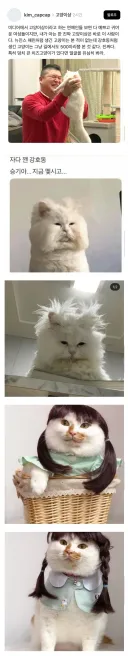 반박불가 연예계 최고의 고양이상.jpg
