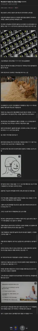 백수였다가 직장인 되니 환상 다 깨졌다는 사람