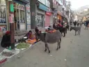 인도 레 거리 풍경