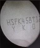 DPF 내시경 사진