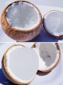 냉동 야자열매🥥