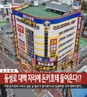 대구에 돈키호테