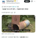 곰 익사 시켰다고 난리난 일본