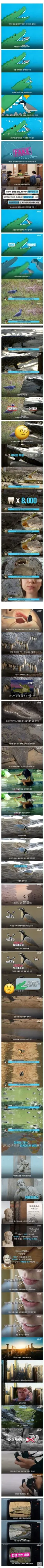 전세계 사람들이 잘못 알고있는 상식.jpg