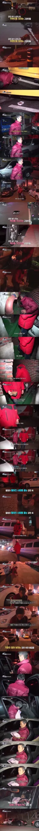가족이 66명인 가정