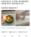 편식하는 달팽이 고치는 특단의 조치.jpg