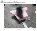 인생 첫 양모펠트 제작 후기.jpg