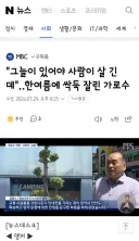 진주의 어느 동네 가로수가 싹둑 잘린 이유