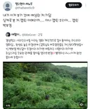 스포를 말해줘도 아무도 안 믿는 박보영 출연 영화.twt