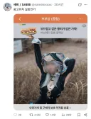 광고 위치 실화인가.jpg