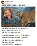 맹수를 마주친 여성의 생존법.jpg