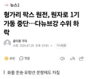 헝가리 원전 근황