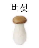 버섯.jpg
