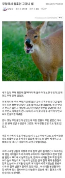 무덤에서 춤추던 고라니 썰.jpg