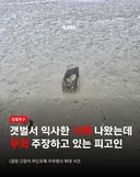길고양이 포획 후 밀물 갯벌에서 익사시킨 동물학대범 (모자이크 사진)