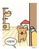 강아지식 환영 vs 고양이식 환영
