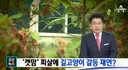 서울 고양이 살처분 선례도 있었네