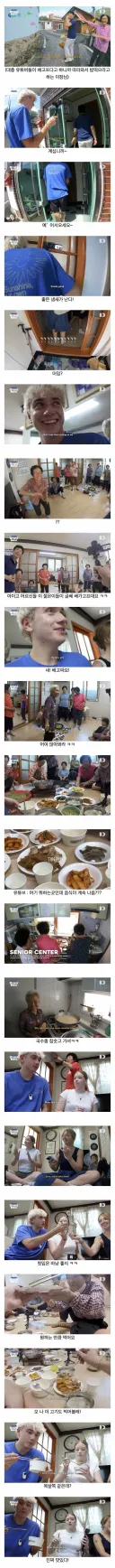 한국 시골에 놀러온 외국인들의 최후