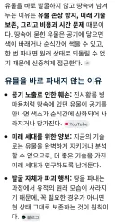 베스트에 있는 일본 고분 발굴 안 하는 이유 어쩌고는 잘못된 정보...