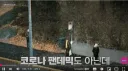 내향인들에게는 천국이라고 하는 나라.jpg