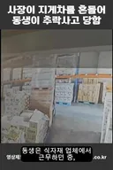 사장이 지게차를 흔들어 추락사고 당함