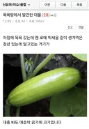 목욕탕에서 발견한 대물한테 치킨 사줌.jpg