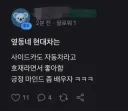 현대차 주주의 긍정적 마인드.jpg