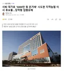 사퇴 대가로 '5000만 원 돈거래' 시도한 지역농협 이사 후보들..징역형 집행유예