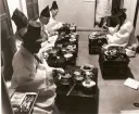 한국인 최대 역린
