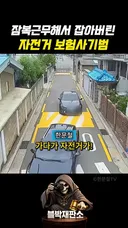 꼬리가 길어 잡힌 자라니 보험사기