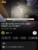 심야괴담회나온 곳= 생물유튜버에겐 천국